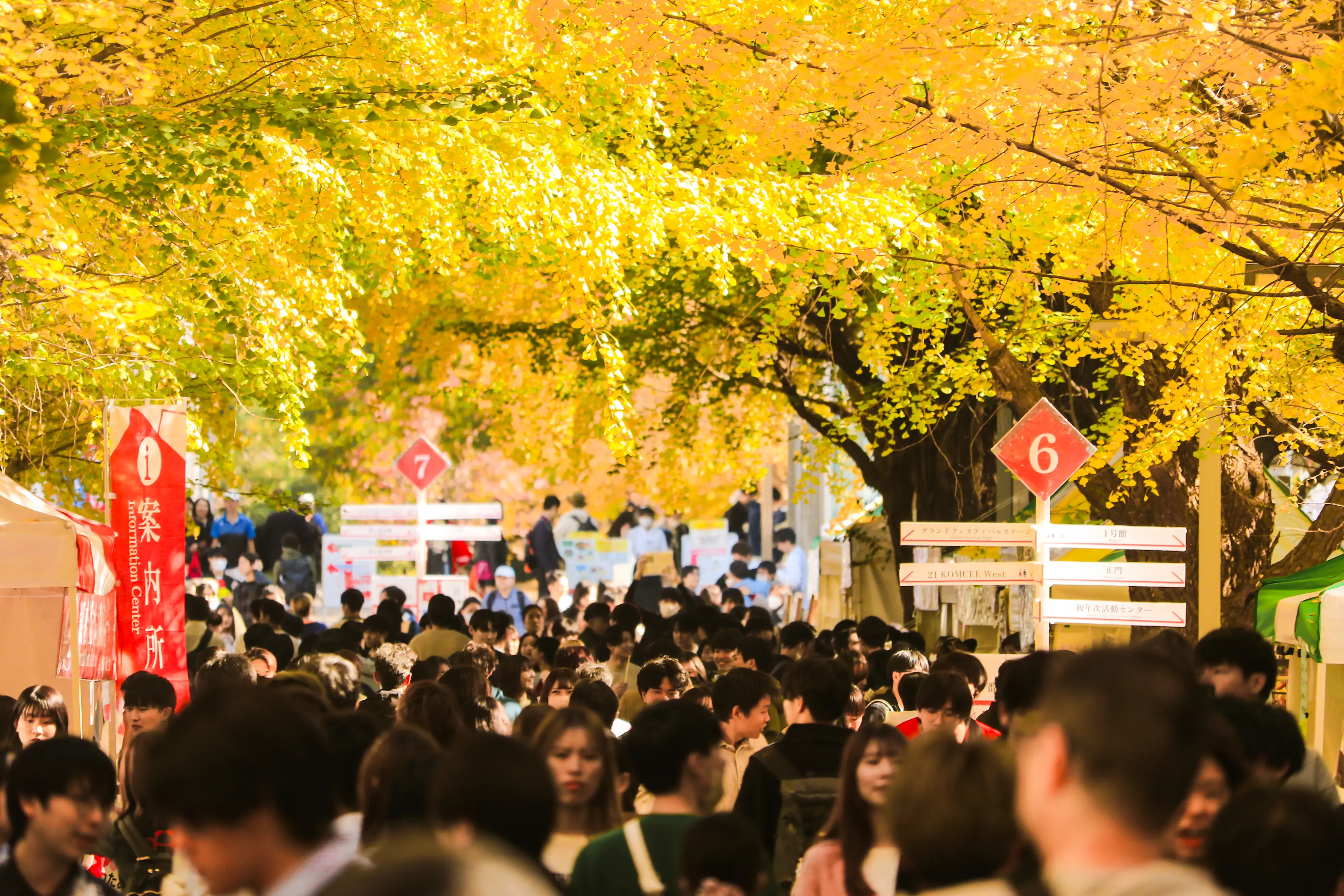 駒場祭当日の写真